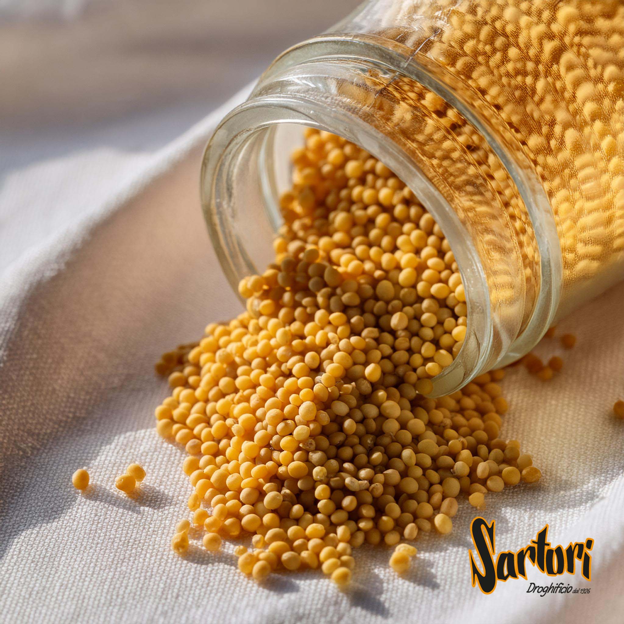 Senape Gialla - immagine 2